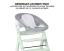 Hauck Hochstuhl Alpha Plus Mint - Newborn Set mit Aufsatz Bild 4