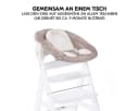 Hauck Alpha+ Hochstuhl Newborn Set Weiß Buchenholz mit 2in1 Bouncer Bild 4