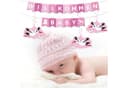 BRUBAKER Girlande Willkommen Baby Wimpelkette Rosa Storch Anhänger Bild 4