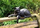Antikas Skulptur Katze Wanddekoobjekt Polystein Bild 1
