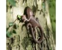 Antikas Wanddekoobjekt Eidechse Gecko Gusseisen Antikbraun Bild 2