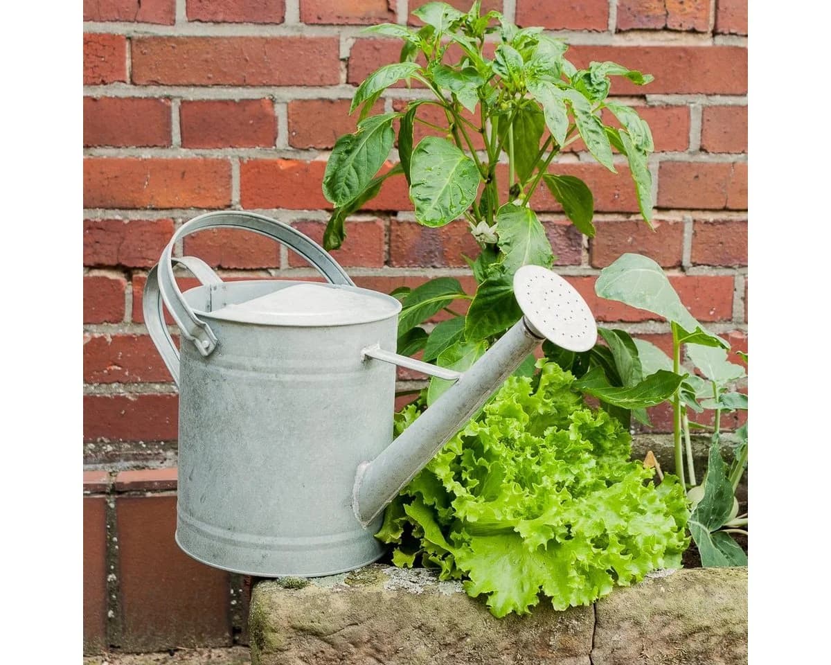 Antikas Gießkanne aus Zink Retro 3,5L Gartenpflege - Bild 2