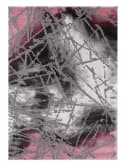 Vimoda Teppich Wohnzimmer Pink Grau Modern Kurzflor Bild 2