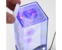SATISFIRE LED Jellyfish Lampe 3 Quallen USB Blau Bild 4