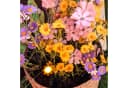 MARELIDA LED Solar Lichterkette Blumen 5x Warmweiß Gartendeko Bild 5