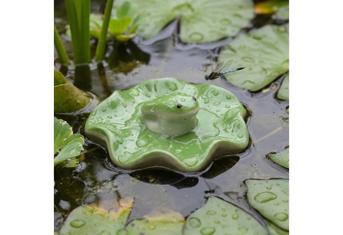 MARELIDA Schwimmfrosch Teichdeko Grün Porzellan