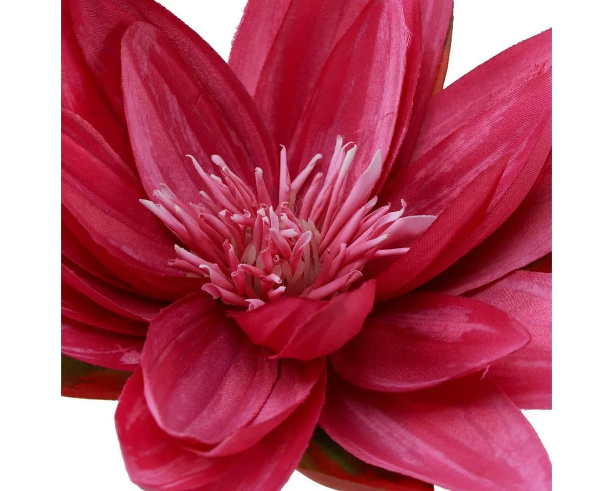 Florists Products Kunstblume Exotische Seerosen Fuchsia Grün 2 Stück