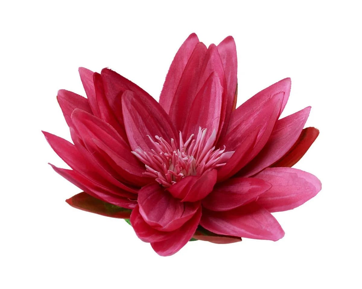 Florists Products Kunstblume Exotische Seerosen Fuchsia Grün 2 Stück - Bild 2