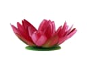 Florists Products Kunstblume Exotische Seerosen Fuchsia Grün 2 Stück Bild 3