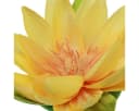 Florists Products Schwimmende Seerose Deko Gelb Kunststoff 2 Stück Bild 1