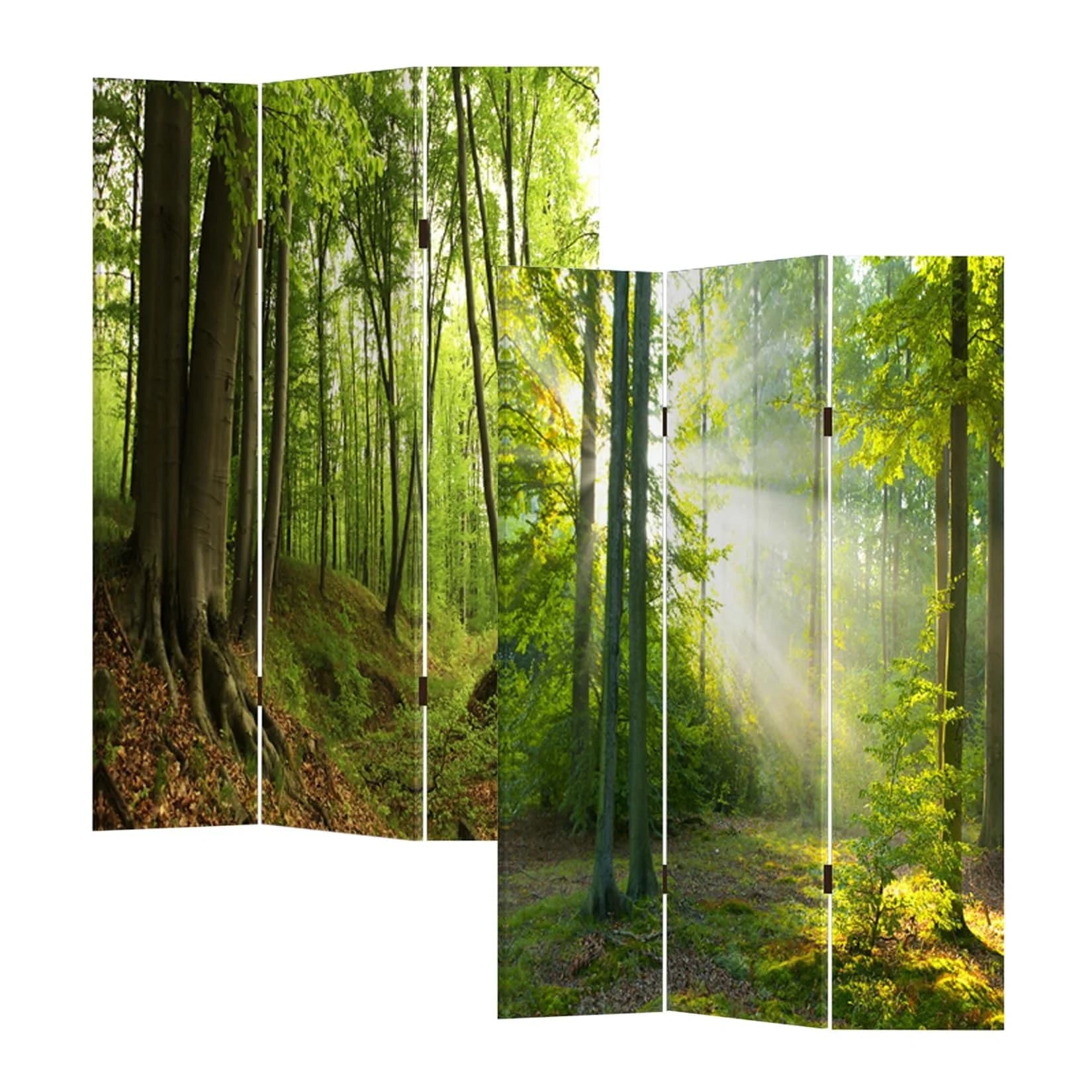 HTI-Line Paravent Waldweg Raumteiler Sichtschutz 120x170 cm