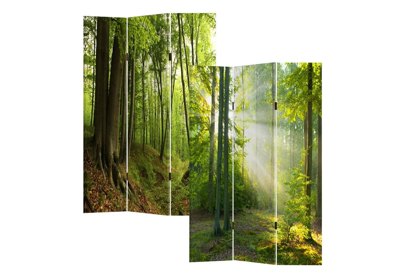 HTI-Line Paravent Waldweg Raumteiler Sichtschutz 120x170 cm - Bild 2