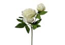 HTI-Living Kunstblume Pfingstrose Weiß 23 cm Bild 1