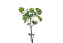 HTI-Living Kunstblume Hortensie Flora 107 cm Grün Gelb Bild 2