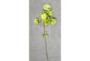 HTI-Living Kunstblume Hortensie Flora 107 cm Grün Gelb Bild 3