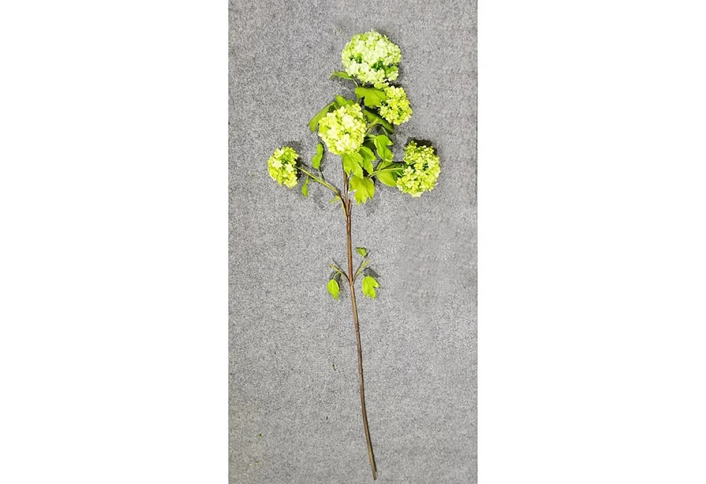 HTI-Living Kunstblume Hortensie Flora 107 cm Grün Gelb - Bild 3