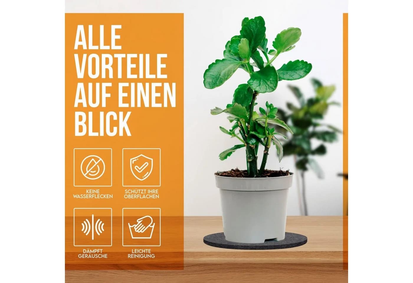 wortek Filzuntersetzer Set 6-tlg. Schwarz - Waschbar & Schutz für Möbel