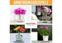 wortek Blumentopfuntersetzer Filz 6-tlg. Set Bild 3