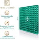 Delluxia Duscheinlage Grün Rutschfest PVC Bild 5