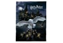 Harry Potter Kuscheldecke Hedwig 150x200 cm Familando Bild 2