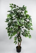 Seidenblumen Roß Kunstbaum Ficus Excotica Grün-Creme 120 cm Bild 2