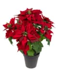 Seidenblumen Roß Weihnachtsstern Nature samt-rot mit 6 Blüten im Topf Bild 2