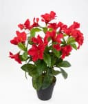 Kunstblume Hibiskus 40cm im Topf ZF Kunstpflanzen Blumen künstlicher Eibisch Hibiskus, Seidenblumen Roß, Rot Bild 2