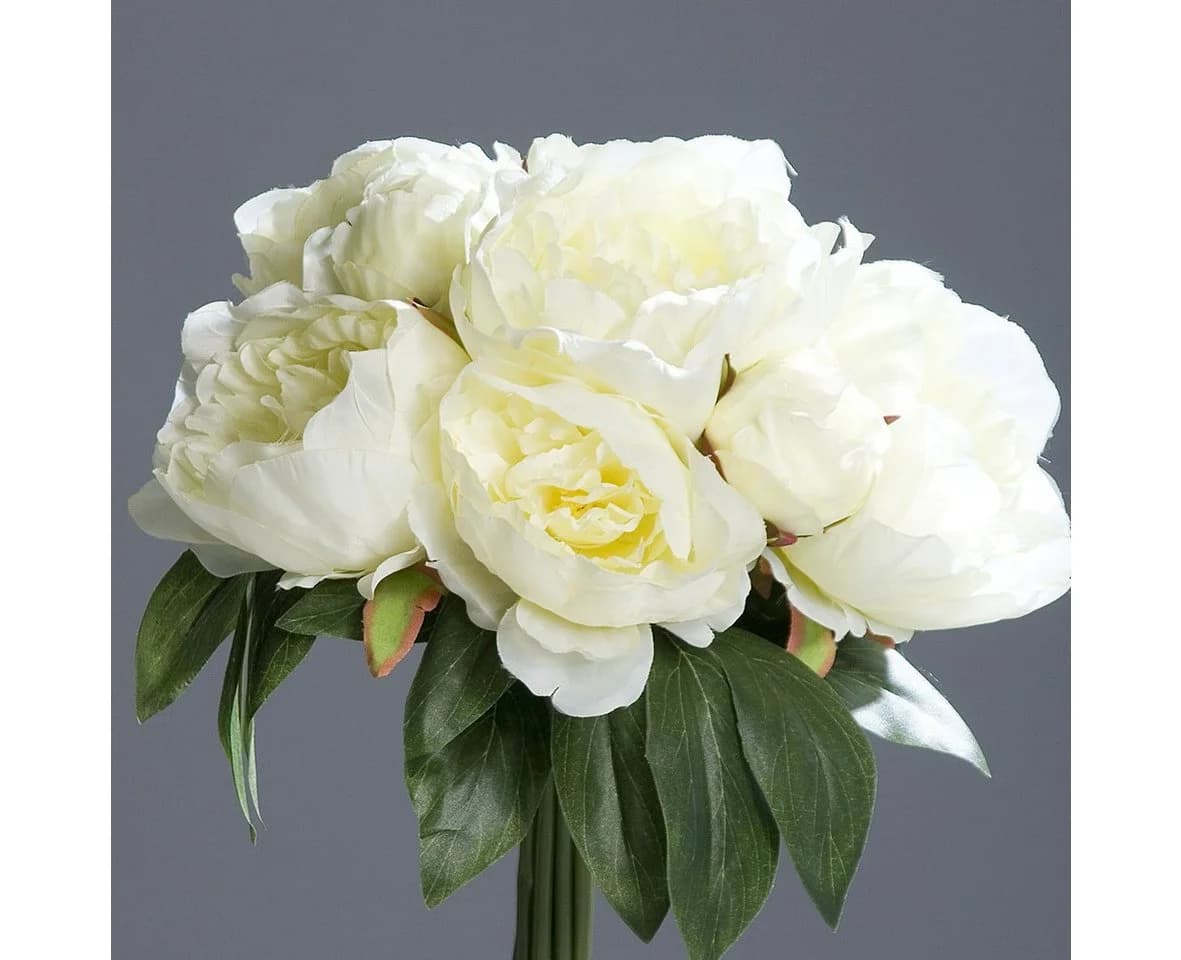 Kunstblume Pfingstrosenbund mit 8 Blüten 36cm DP künstliche Päonie Strauß Pfingstrose, Seidenblumen Roß, Weiß-Creme