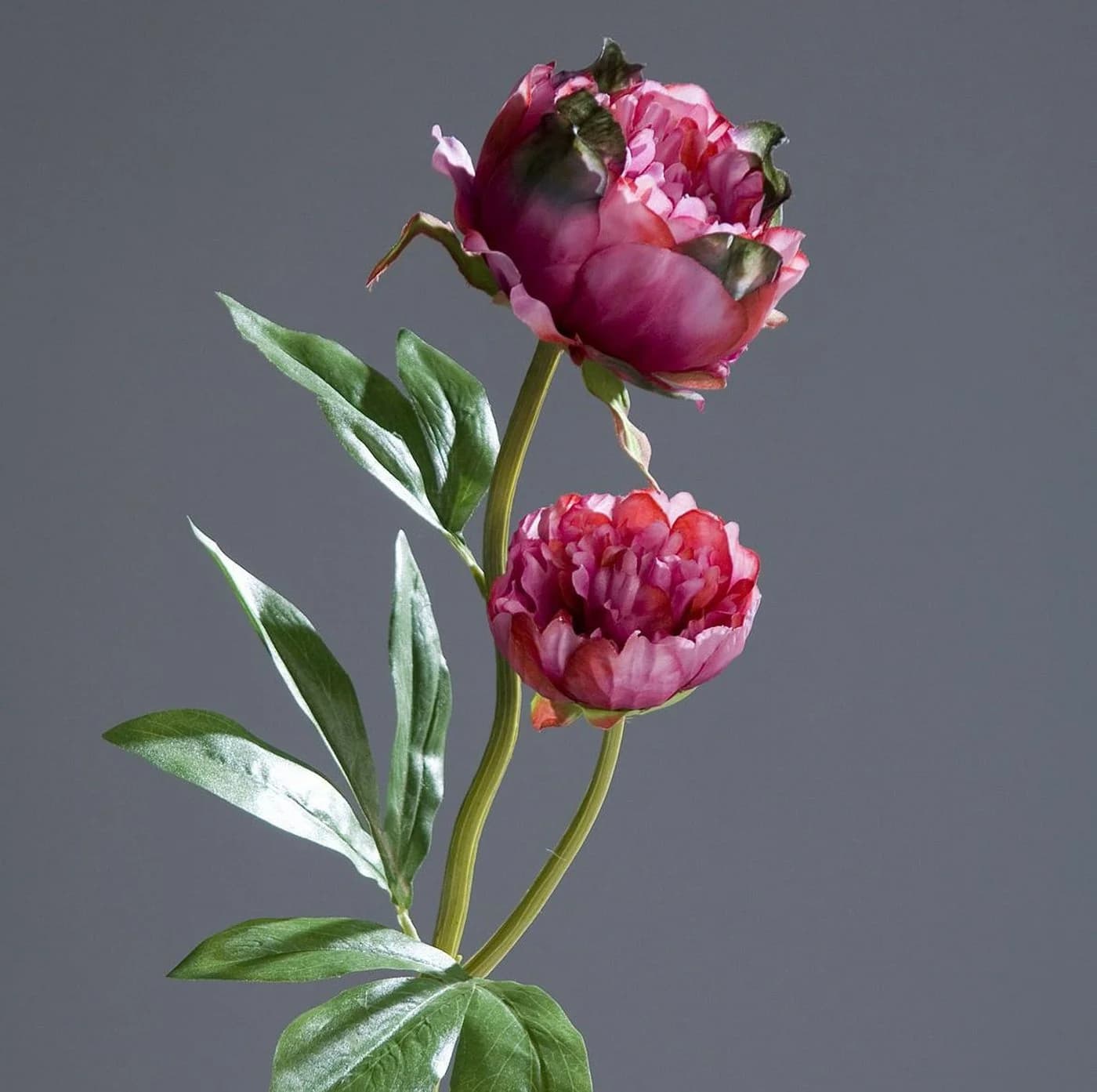 Kunstblume Pfingstrose 2 Blüten 60cm Seidenblumen Roß