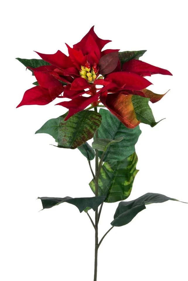Seidenblumen Roß Weihnachtsstern Kunstblume samt-rot 72cm - Bild 2