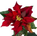 Seidenblumen Roß Weihnachtsstern Kunstblume samt-rot 72cm Bild 4