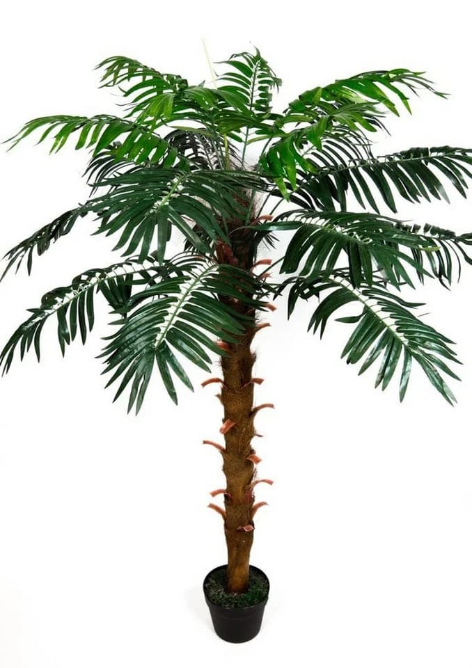 Seidenblumen Roß Kunstpalme Phönixpalme 140cm Grün
