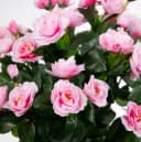 Kunstblume Azalee 40cm Rosa-Pink im Topf von Seidenblumen Roß Bild 1