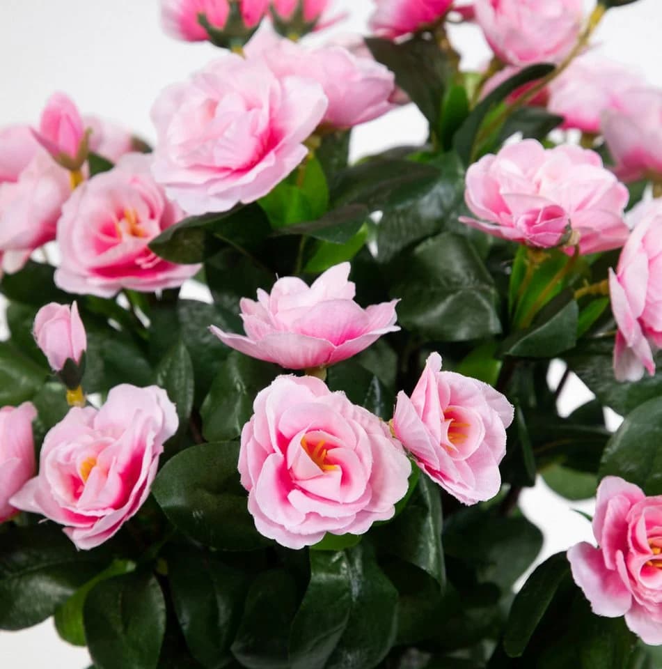 Kunstblume Azalee 40cm Rosa-Pink im Topf von Seidenblumen Roß