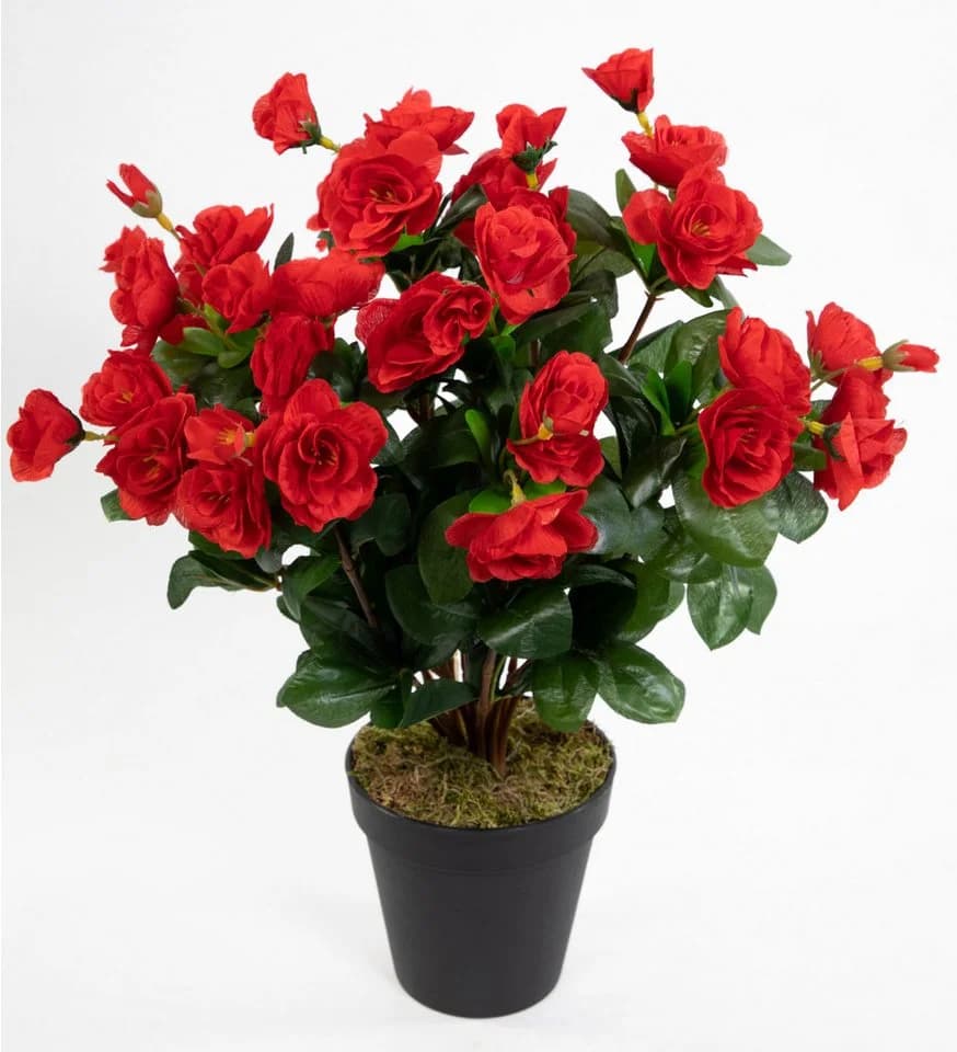 Kunstblume Azalee 40cm Rot im Topf von Seidenblumen Roß