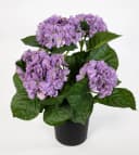 Kunstblume Hortensienbusch Deluxe Lila 42cm im Topf Bild 1