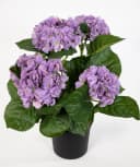 Kunstblume Hortensienbusch Deluxe Lila 42cm im Topf Bild 2