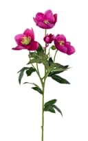 Kunstblume Christrose 62cm PM Dekoblumen künstliche Christrose Blumen Helleborus, Seidenblumen Roß, Farbe: Rosa-Pink Bild 1