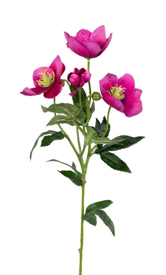Kunstblume Christrose 62cm PM Dekoblumen künstliche Christrose Blumen Helleborus, Seidenblumen Roß, Farbe: Rosa-Pink - Bild 2
