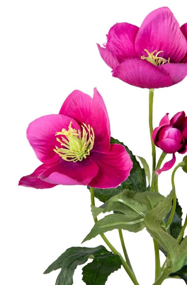 Kunstblume Christrose 62cm PM Dekoblumen künstliche Christrose Blumen Helleborus, Seidenblumen Roß, Farbe: Rosa-Pink - Bild 4