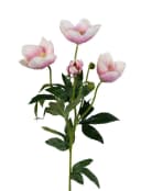 Künstliche Christrose 62cm Hellrosa Seidenblumen Roß Bild 1