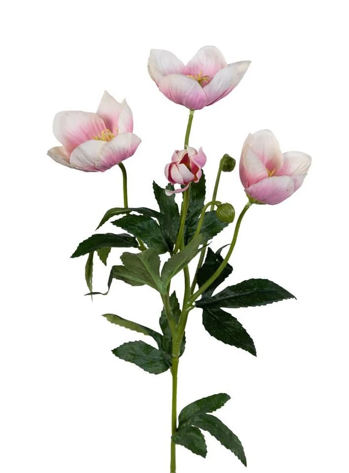 Künstliche Christrose 62cm Hellrosa Seidenblumen Roß