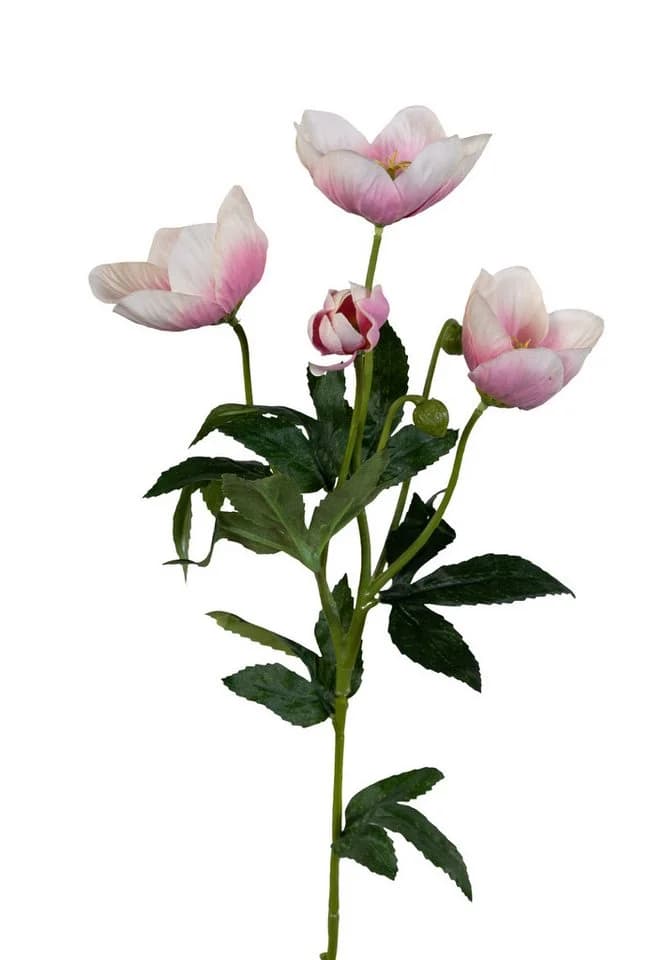 Künstliche Christrose 62cm Hellrosa Seidenblumen Roß - Bild 2