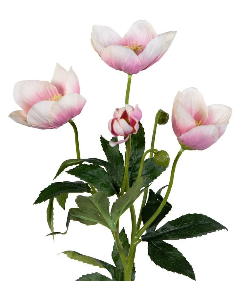 Künstliche Christrose 62cm Hellrosa Seidenblumen Roß - Bild 3