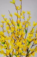 Kunstblume Forsythienbusch 65cm Gelb 245 Blüten Bild 3