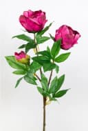 Kunstblume Pfingstrose Nature Fuchsia 68cm Bild 1