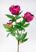 Kunstblume Pfingstrose Nature Fuchsia 68cm Bild 2