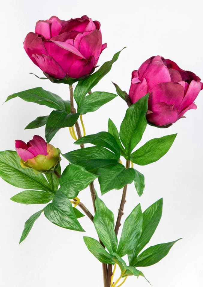 Kunstblume Pfingstrose Nature Fuchsia 68cm - Bild 3