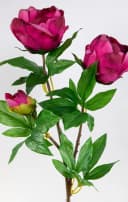 Kunstblume Pfingstrose Nature Fuchsia 68cm Bild 4