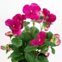 Kunstblume Stiefmütterchen 30cm Fuchsia-Pink im Topf Bild 4